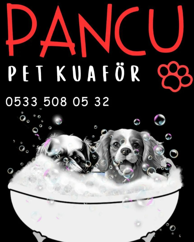 Pancu Pet