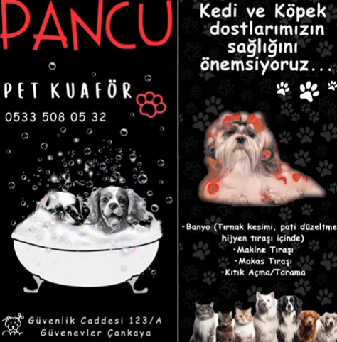 Pancu Pet